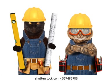 Funny cats are wearing a suit of builder and holding a builder's level and project plan. Craftsman on the white background.