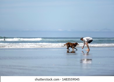 Funny Cheerful Dynamic Man In Swimming Trunks And T-shirt Barefoot Running With A Playful Dog Along The Mirror Surface Of Water Of Pacific Ocean In The Northwest Enjoying Fresh Healthy Sea Breeze