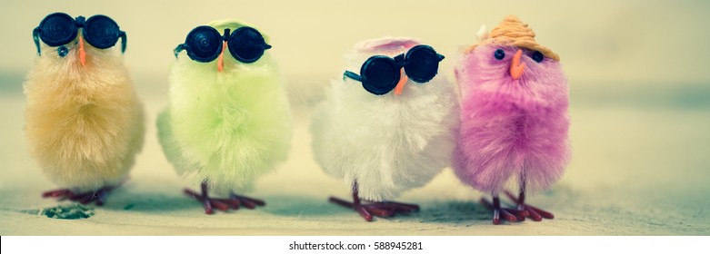 
Funny Chicks In A Row