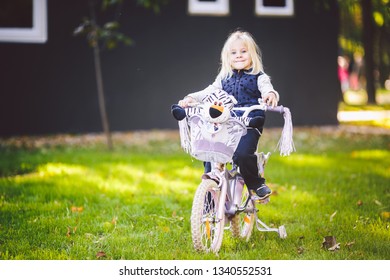 Funny Child Caucasian Girl Blonde Near A Purple Bike With A Basket And A Zebra Toy In An Outside Park On A Green Lawn Grass Cart At Home.