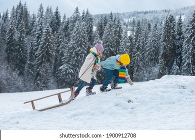 Funny children sledding in winter snowy forest on snow landscape. Brother and sister walks