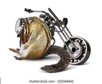 Funny Chipmunk Biker With Motorcycle On White