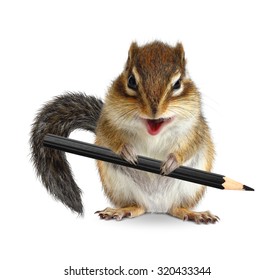 Funny Chipmunk Hold Pencil, On White