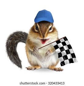 Funny Chipmunk With Racing Flag On White