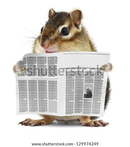 Funny chipmunk read newspaper, news concept