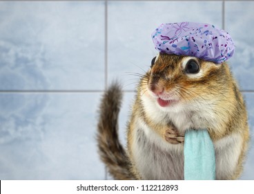 Funny Chipmunk With Towel Bathing