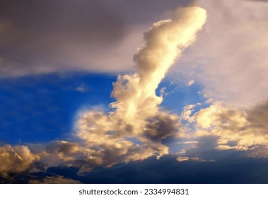 Funny cloud in the shape of phallus phallic symbol phallus in the sky in the evening in the light of sunset.