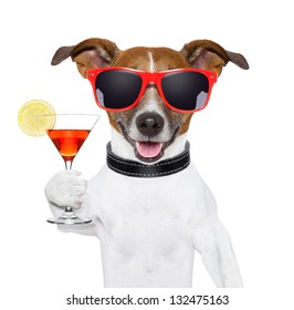 Funny Cocktail Dog Holding A Martini Glass