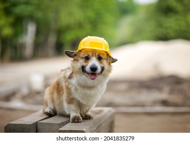 funny corgi dog in a yellow hard hat is sitting on a construction site - Shutterstock ID 2041835279