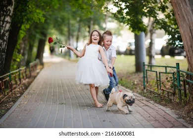 funny couple of children on walk with pug, raising and training dog, pug on leash pulls children along. Boy and girl with rose, funny romantic concept