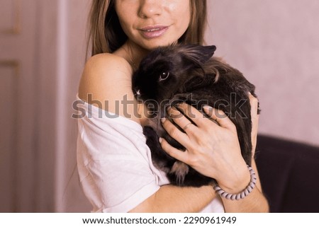 Funny cute brown rabbit in pet's owner hands close-up. Bunny pet at home