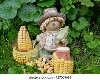 Funny decorating figure with corn in front of a green hedge