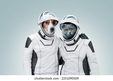 Funny dog and cat astronaut in space suits hug and stand on a light background. Two pet friends cat and dog adventure together in space. Space mission animals 