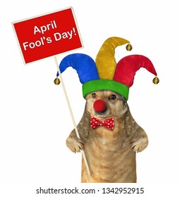 The Funny Dog In A Jester Hat Holds A Red Poster. April Fools Day. White Background. Isolated.