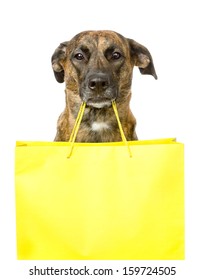 Funny Dog With Shopping Bag. Isolated On White Background