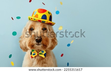 Funny dog wearing a clown hat and bowtie celebrating at a birthday party