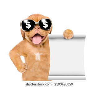 Funny Dog Wearing  Sunglasses With Dollars Sign Shows Empty List. Empty Space For Text