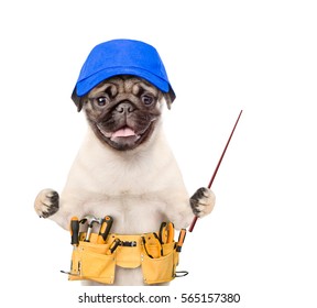 Funny Dog Worker With Toolbelt And Pointing Stick.  Isolated On White Background