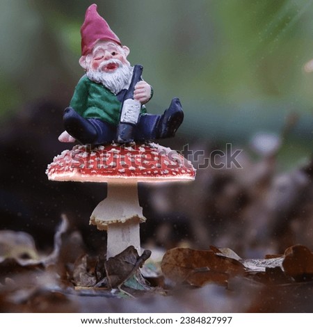 Funny drunk gnome  on a mushroom