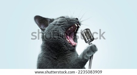 Funny emotional cat artist singing and holding a vintage metal microphone at a party on a pastel blue background. Pet singer, creative idea. Rockstar