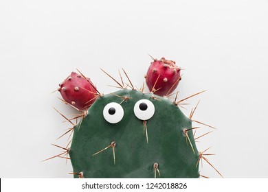 Funny Cactus Hd Stock Images Shutterstock Funny Cactus Hd Stock Images Shutterstock