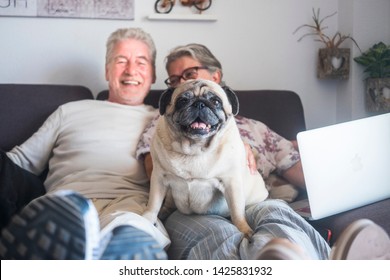 Funny Family Concept With Couple Of Cheerful Caucasian People Senior Man And Woman Sit Down On The Sofa With Laptop Computer And Old Cute Pug Dog Sit On Them Looking The Camera