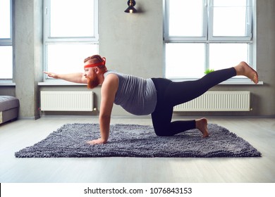 A funny fat bearded man in sports clothes does yoga in the room.