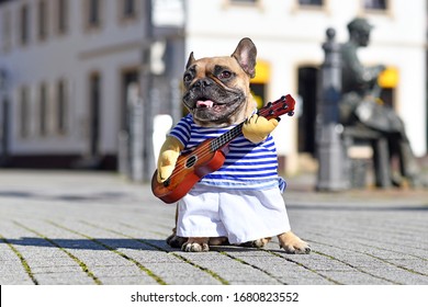 Funny French Bulldog Dog Dressed Up As Street Performer Musician Wearing A Costume With Striped Shirt And Fake Arms Holding A Toy Guitar Standing In City On Sunny Day