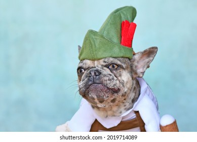Funny French Bulldog dog dressed up with traditional Bavarian 'Oktoberfest' costume with Lederhosen pants and tirol hat 
