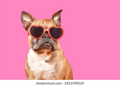 Funny French Bulldog dog wearing heart shaped Valentine's Day glasses on pink background with copy space