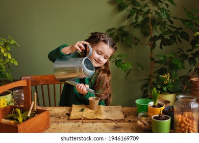 Funny gardener girl with plants in a room at home. Children's watering and care of indoor plants. Transplants flowers. Home gardening concept. A little helper in the household.
