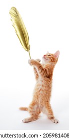 Funny Ginger Kitten Stands And Holds A Golden Quill Pen In Its Paw