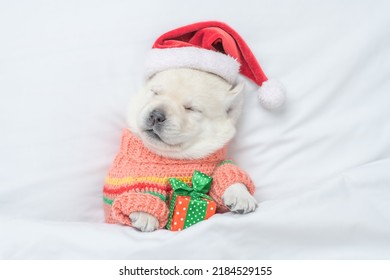 Funny Golden Retriever Puppy Wearing Warm Sweater And Red Santa's Hat Sleeps Under White Blanket On A Bed At Home And Hugs Gift Box. Top Down View