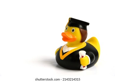 Funny Graduation Rubber Duck Wearing A Cap And Gown. Isolated On White Background With Space For Copy Text To The Left.