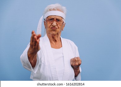 Funny grandmother portraits.granny fashion model on colored backgrounds. Karate master practicing martial arts - Powered by Shutterstock