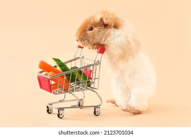 Funny Guinea pig and shopping cart with vegetables on beige background