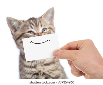 Funny Happy Young Cat Portrait With Smile On Cardboard Isolated On White