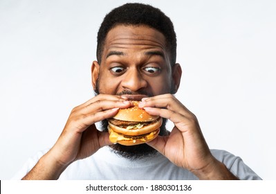 Funny Hungry African Guy Eating Burger Standing On White Studio Background. Black Man Enjoying Hamburger Overeating Junk Food. Nutrition And Unhealthy Fastfood, Binge Eating Habit Problem Concept