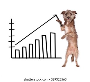 Chart Dog Graph