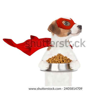 Funny jack russell terrier puppy wearing superhero costume holds bowl of dry dogs food and looks away on empty space. Isolated on white background