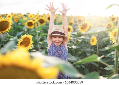 Funny Kid Sunflowers Field On Summer Stock Photo 1364035859 | Shutterstock