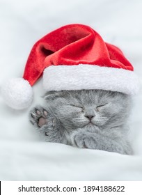 Cat in the Hat Images, Stock Photos & Vectors | Shutterstock