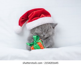 Funny Kitten Wearing Red Santa's Hat Sleeps Under Blanket With Gift Box. Top Down View