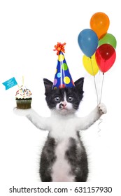 75,110 Happy birthday grey Images, Stock Photos & Vectors | Shutterstock