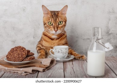 Funny Kitty With A Mug Of Milk And Oatmeal Cookies For Breakfast.