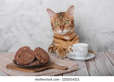 Funny Kitty With A Mug Of Milk And Oatmeal Cookies For Breakfast.