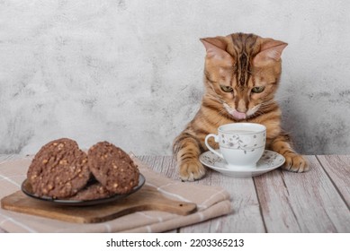 Funny Kitty With A Mug Of Milk And Oatmeal Cookies For Breakfast.