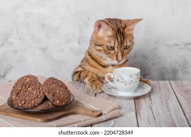 Funny Kitty With A Mug Of Milk And Oatmeal Cookies For Breakfast.