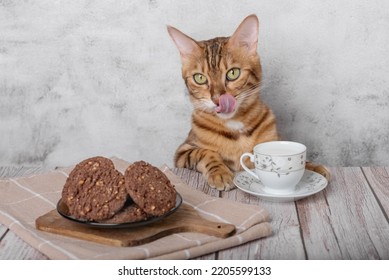 Funny Kitty With A Mug Of Milk And Oatmeal Cookies For Breakfast.