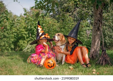 Funny laughable sisters dressed up as witches play with a dog in the courtyard at home on Halloween day. - Shutterstock ID 2199080319